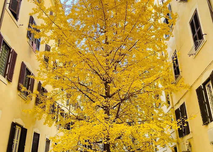 Appartamento Il Cortile Del 900 *