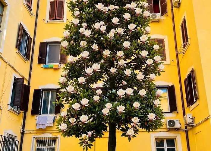 Il Cortile Del 900 *